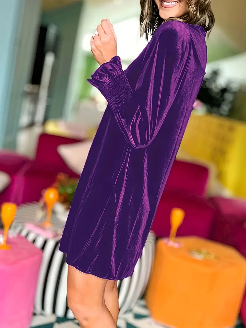 Women's Long Sleeve Crewneck Shift Velvet Dress