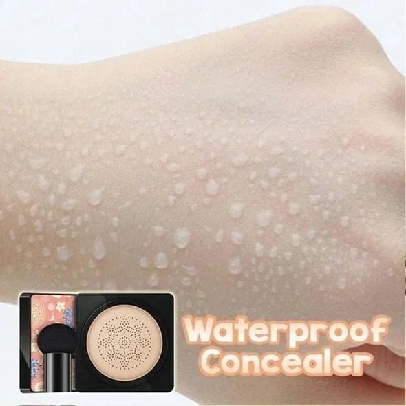 Mushroom head air cushion bb cream liquid foundation