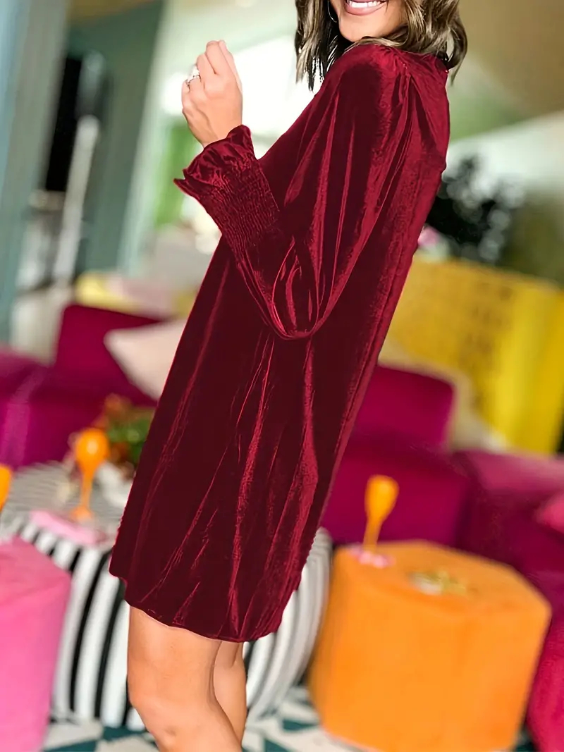 Women's Long Sleeve Crewneck Shift Velvet Dress