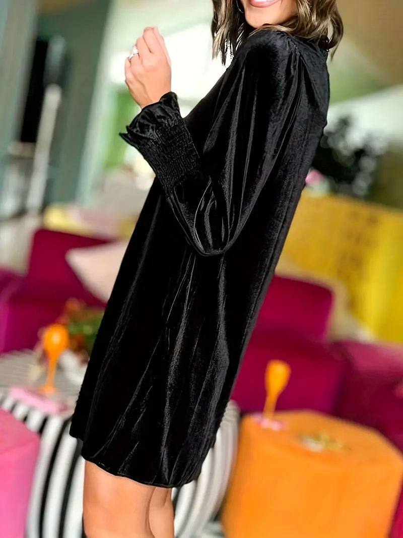 Women's Long Sleeve Crewneck Shift Velvet Dress