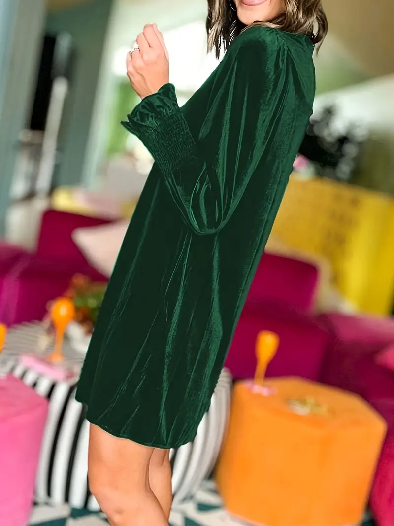 Women's Long Sleeve Crewneck Shift Velvet Dress
