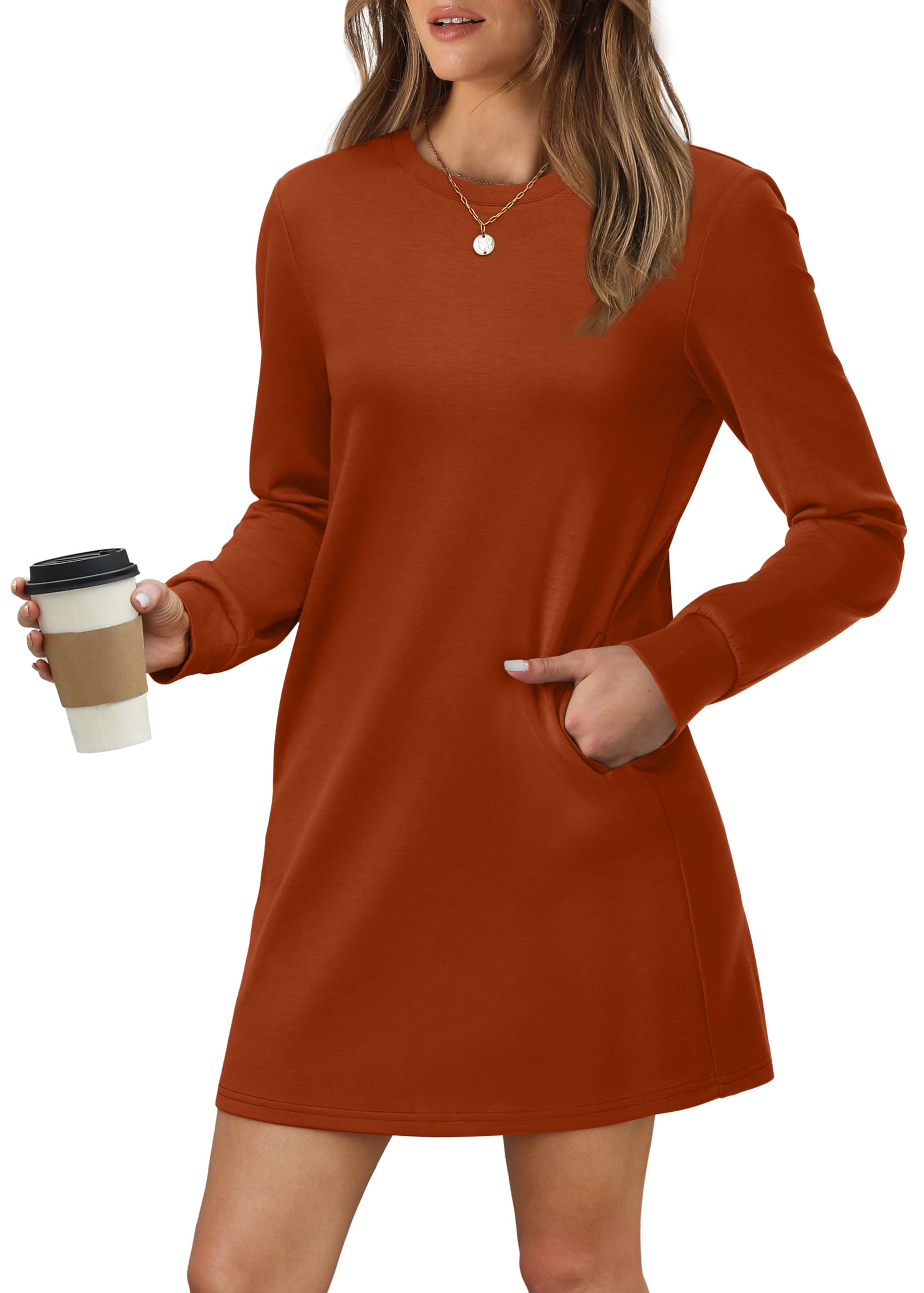 Women Long Sleeve Casual Loose Fit Fall Fashion Crewneck Mini Dress with Pockets