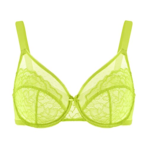 Lace Unlined Full Coverage Underwire Bra
