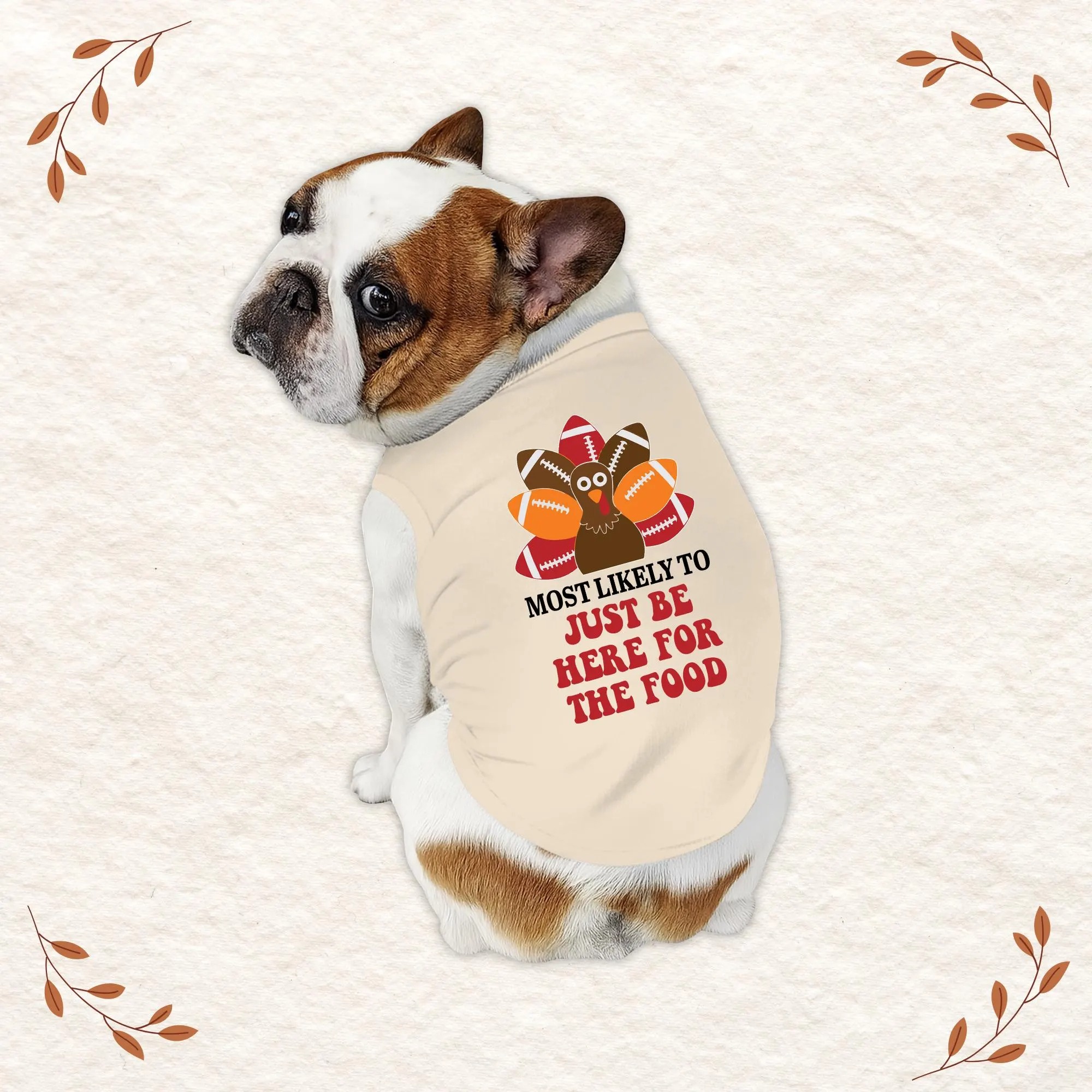 Thanksgiving Turkey & Football Family Pajamas Set