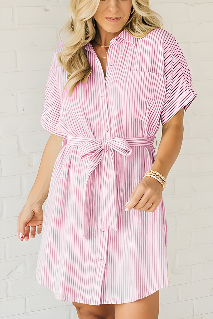 Theo Striped Shirt Dress