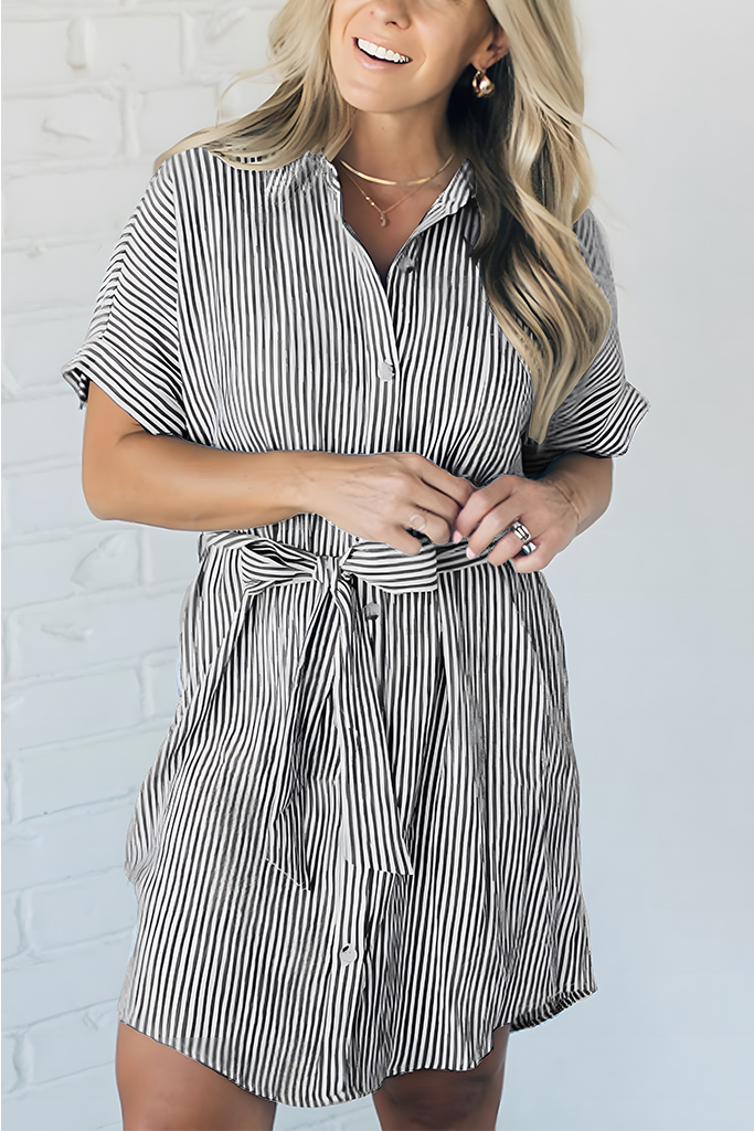 Theo Striped Shirt Dress