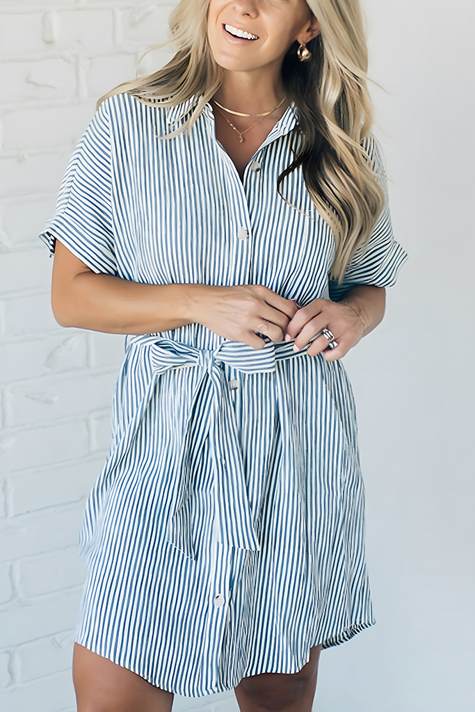 Theo Striped Shirt Dress