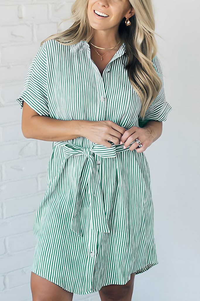 Theo Striped Shirt Dress