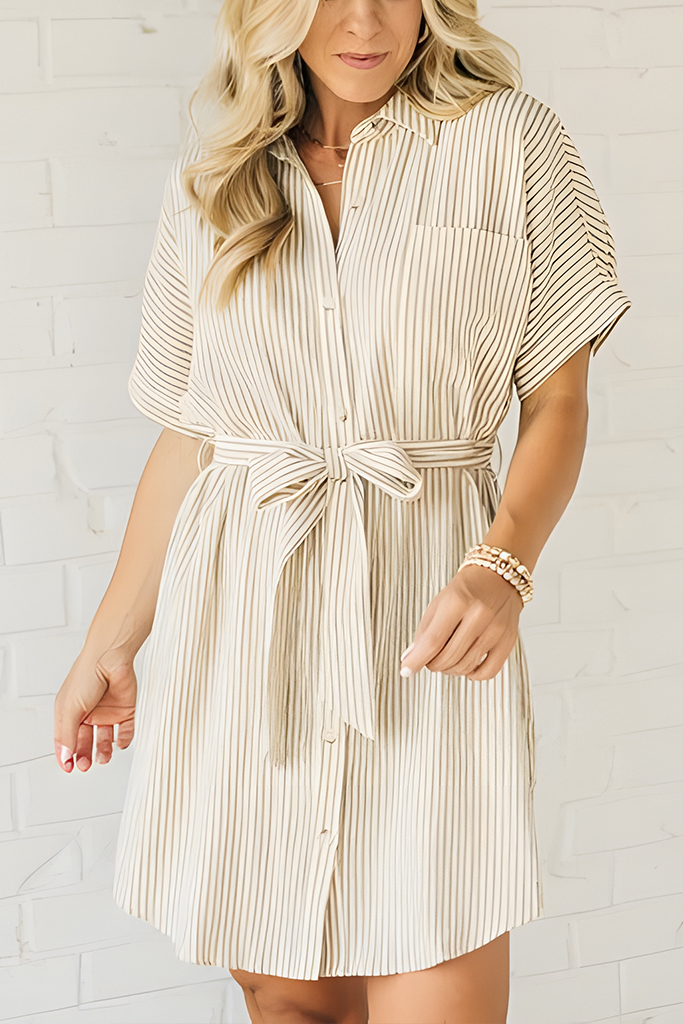 Theo Striped Shirt Dress