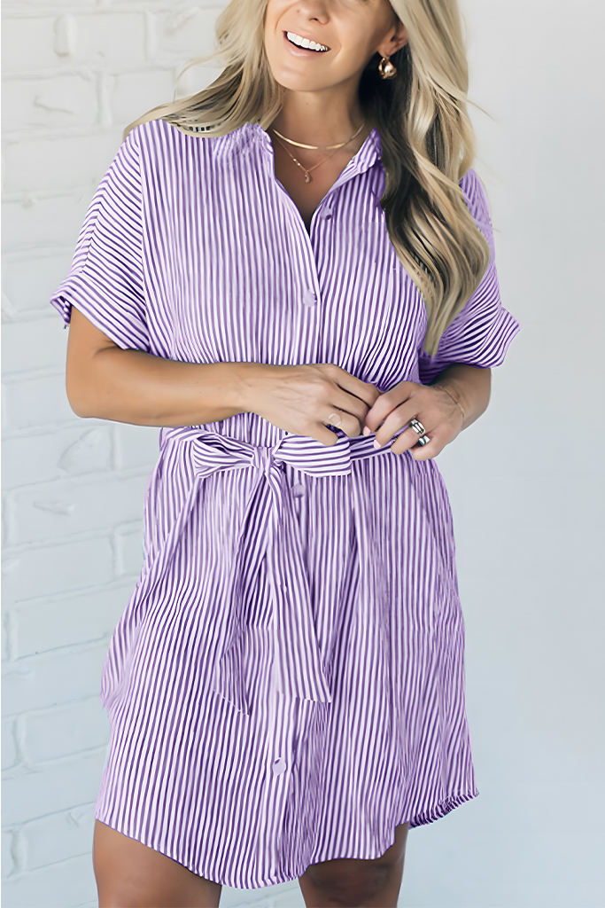 Theo Striped Shirt Dress