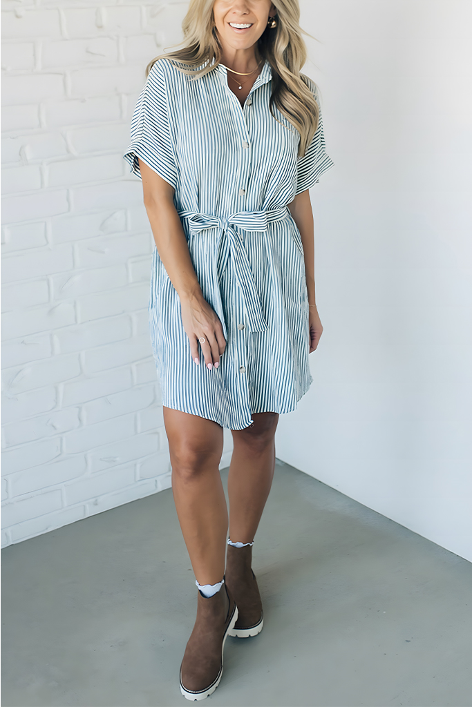 Theo Striped Shirt Dress