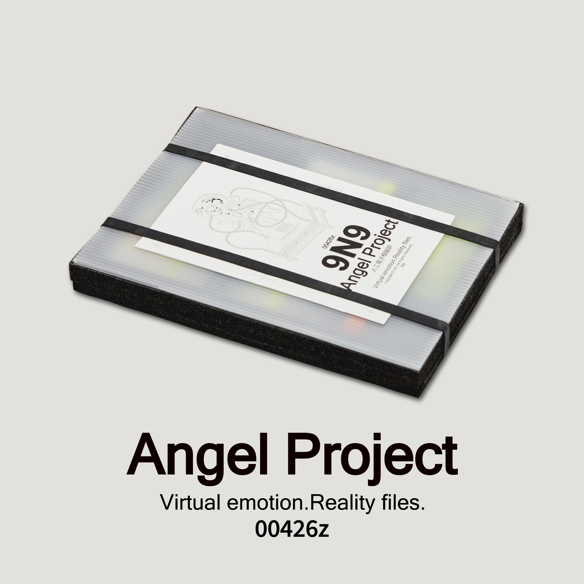 Angel Project 人工電子模擬卵 9N9實驗體