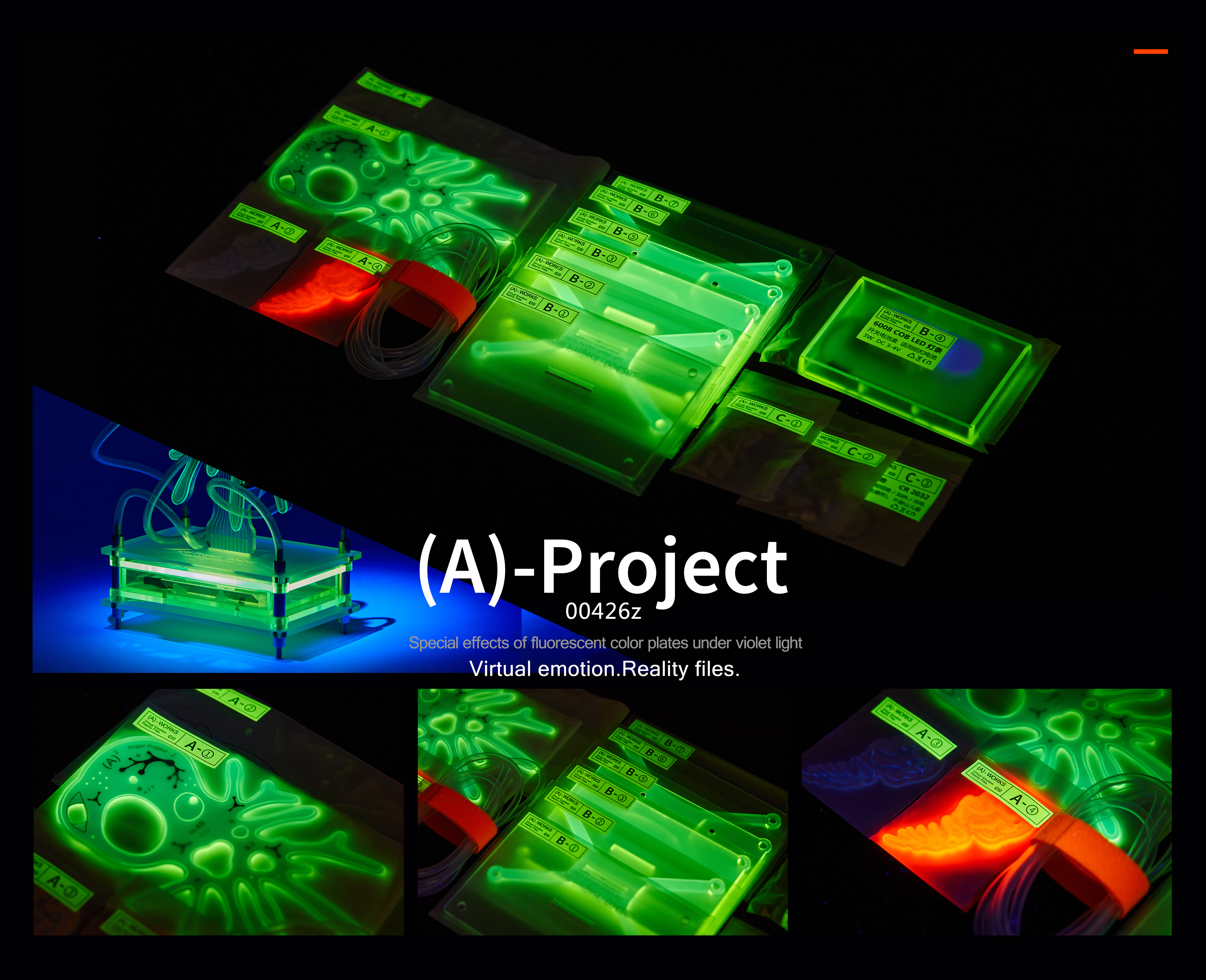 Angel Project 人工電子模擬卵 9N9實驗體