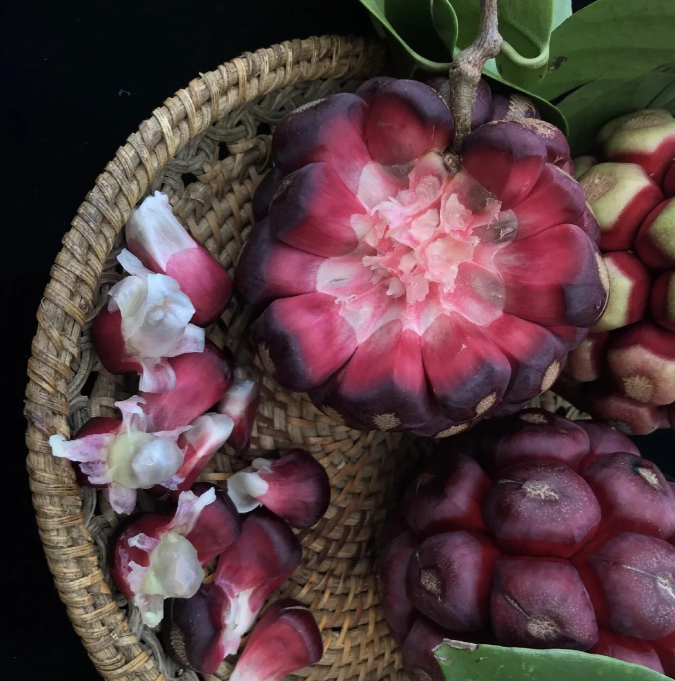 ✨🔥Limited time 50% OFF😈Devil Fruit~Kadsura Coccinea & Black Tiger Seeds