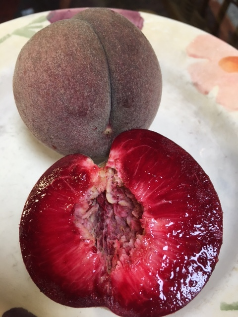 💥Winter Sale☃️Blood Peach - Rare Heirloom Fruit🍑