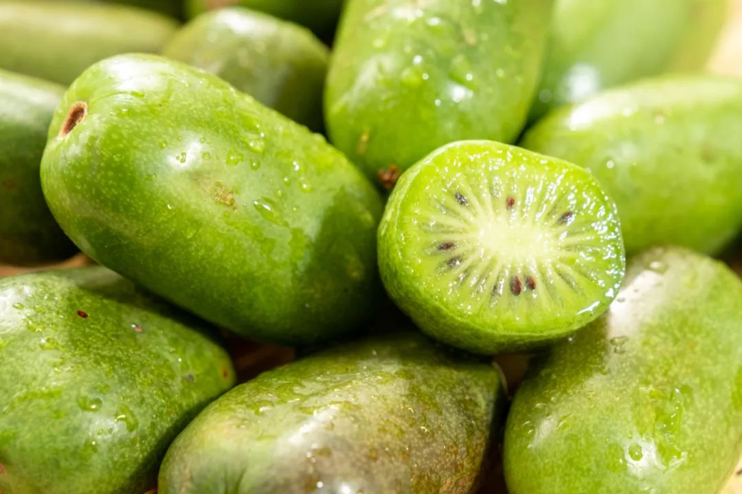 🥝Mini Soft Date Macaque Seeds