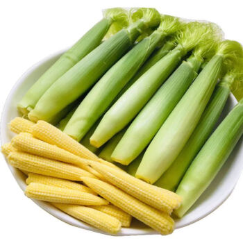 💥🌽Mini palm corn shoot seeds