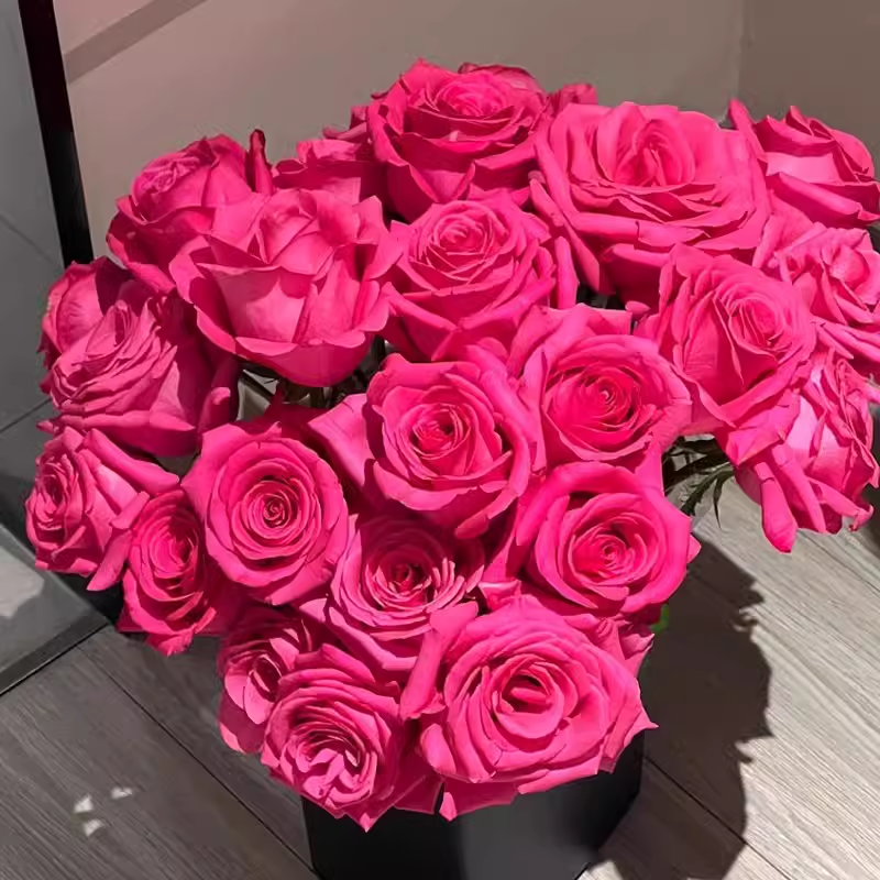 🌺Floyd Pink Rose Seeds