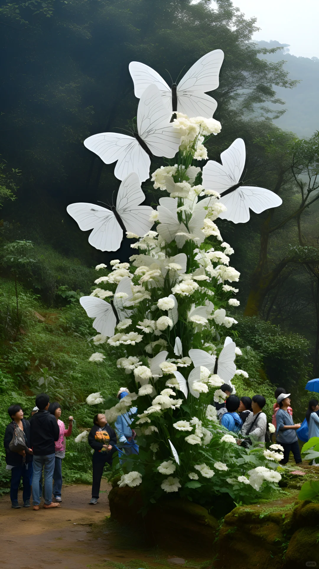 🦋Butterfly Flower Shrub Seeds