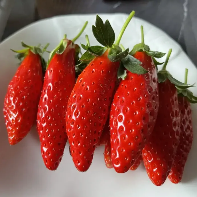 💥Hot new products🍓Cream Strawberry Seeds 🍰Pink White First Love Strawberry