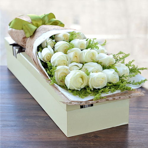 Proud white rose seed bonsai flower material-- Purity Love