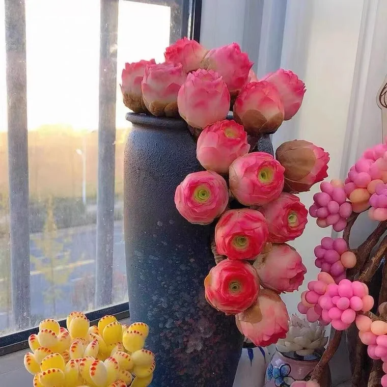 🌹🩷Pink Mountain Rose Succulent Seeds