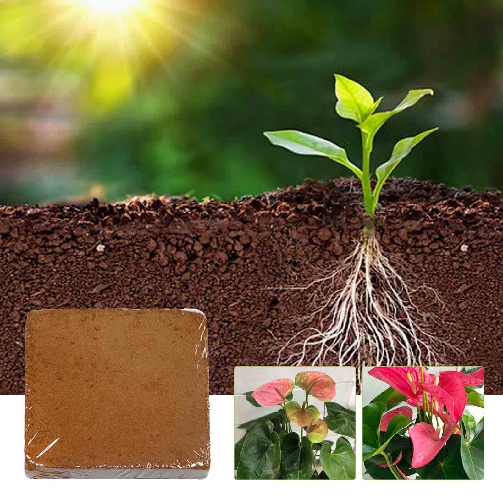 🪴 High Expansion Coconut Coir Fiber for Gardening