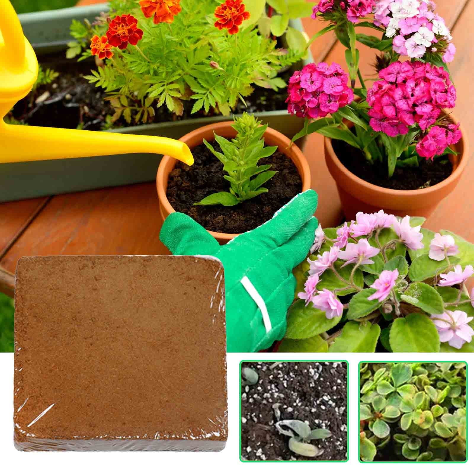 🪴 High Expansion Coconut Coir Fiber for Gardening