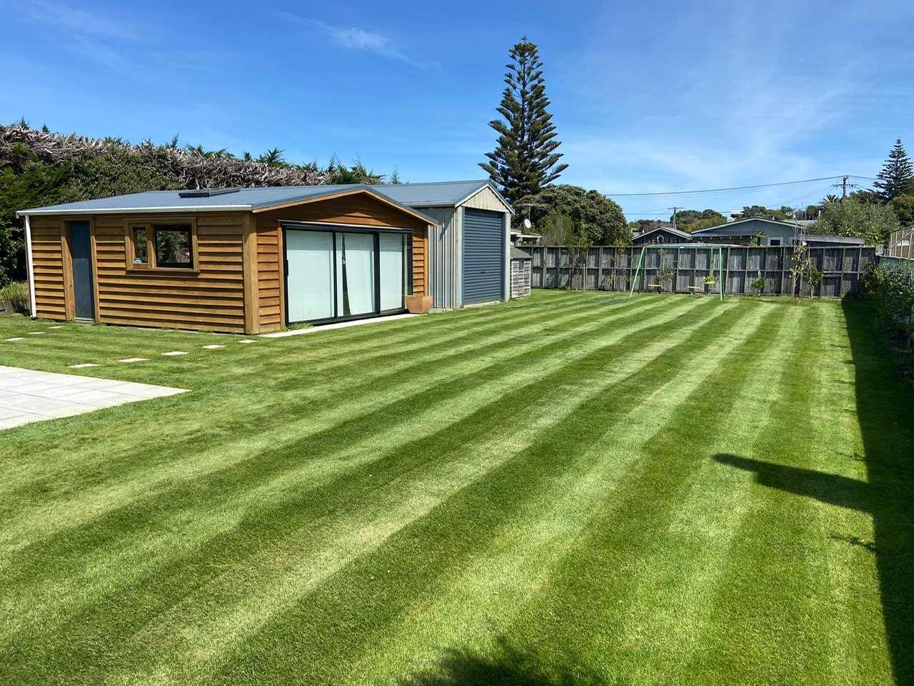 Premium Perennial Ryegrass Seed | Exclusive Rapid Germination &  Low-Maintenance - Premium Lawn Renovations & Synthetic Turf Services