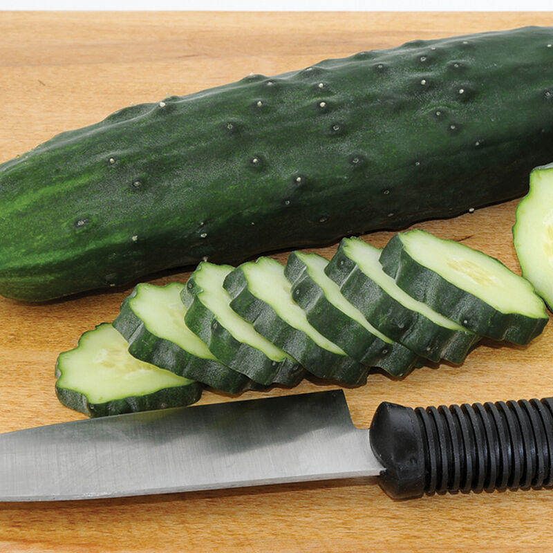 🥇Top Disease-Resistant Variety 🥒 Marketmore 76 Cucumber Seeds