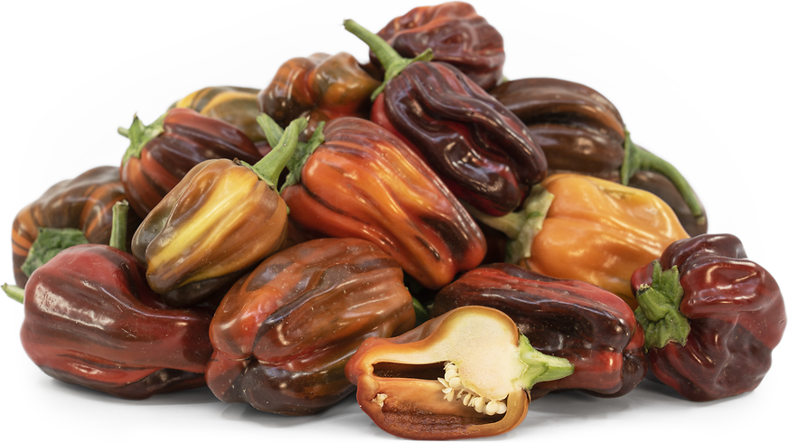 Candy Cane Chocolate Cherry Peppers Information and Facts