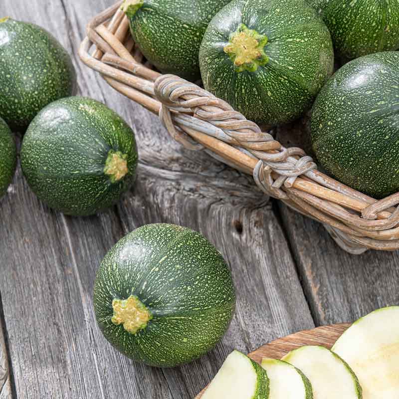 Summer Squash Seeds - Round Zucchini | Vegetable Seeds in Packets & Bulk |  Eden Brothers