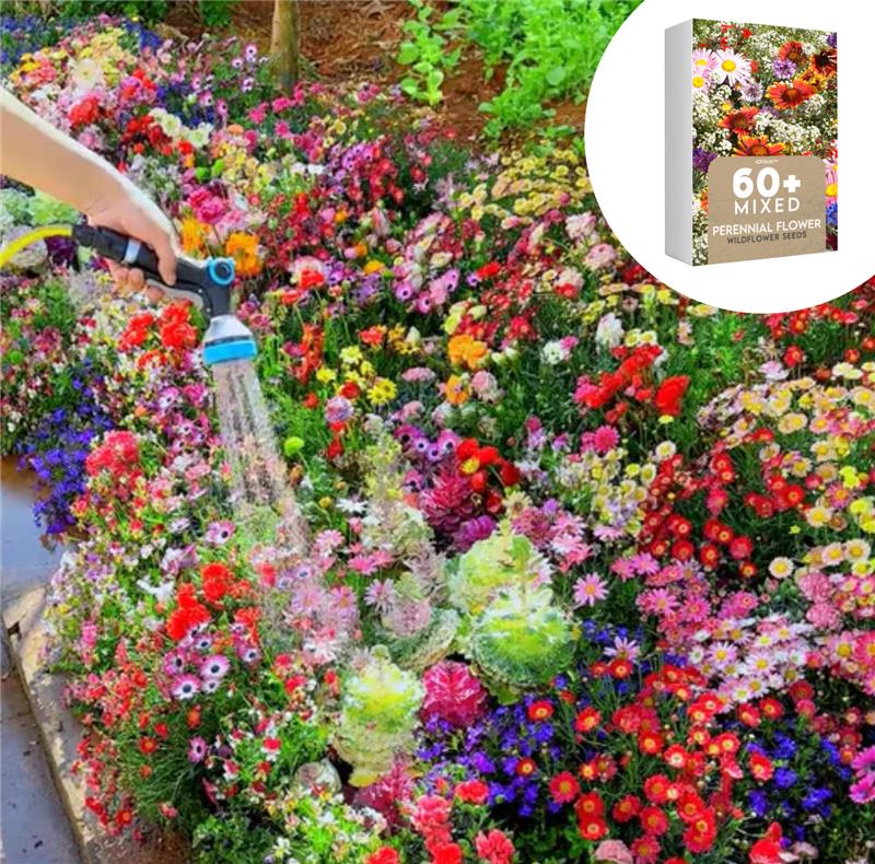 🇩🇪Spring Bloom Bonanza: 🔥GFOUK&reg; 60+ Gartenblumensamen🔥Wachsen zu S &ndash; Dank You