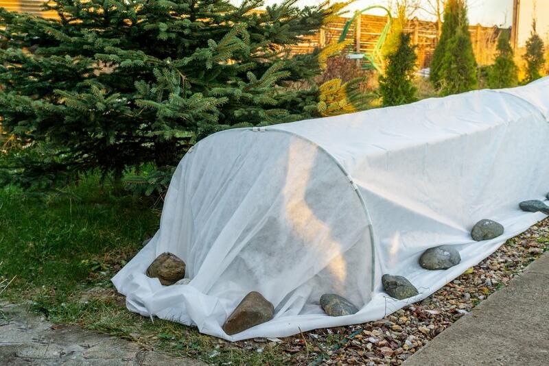 Plant Dealers Covering For Winter