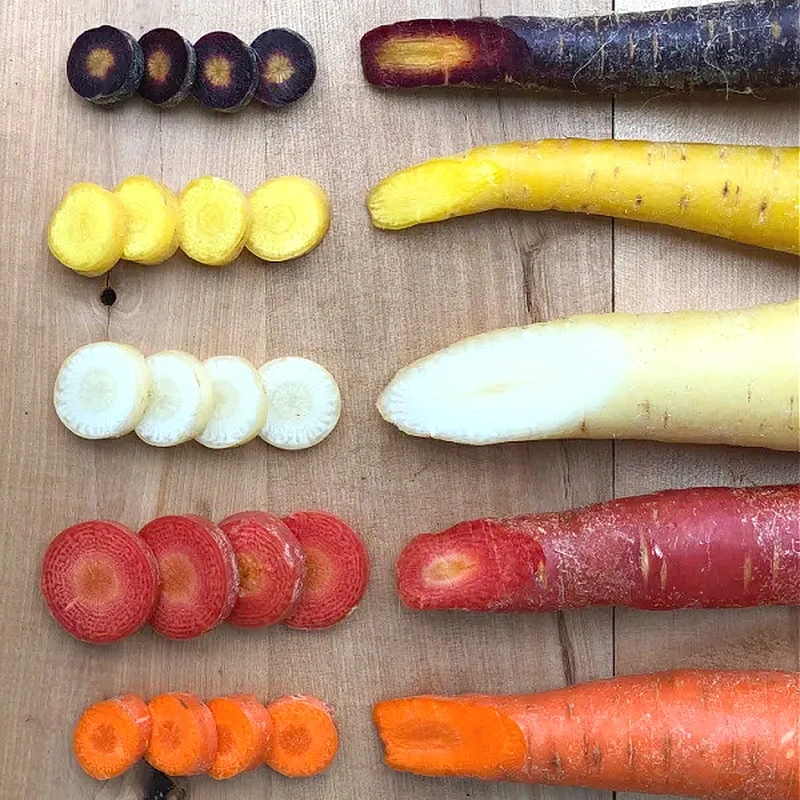 🎆Hot Sale🥂 Colorful Radish Seeds