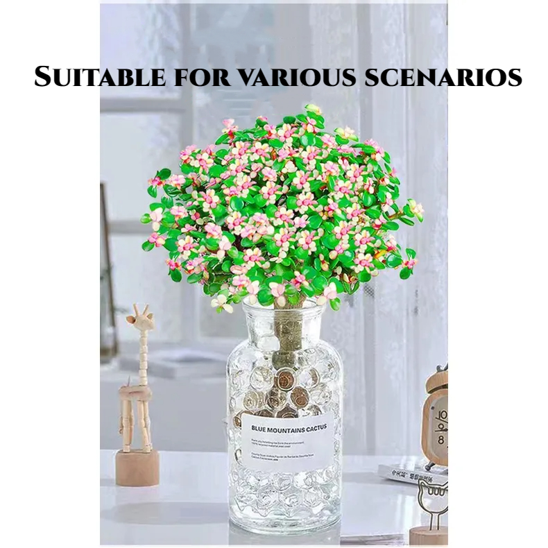 Golden branches, jade leaves seeds, succulent plants, rare varieties, large succulent flower seeds