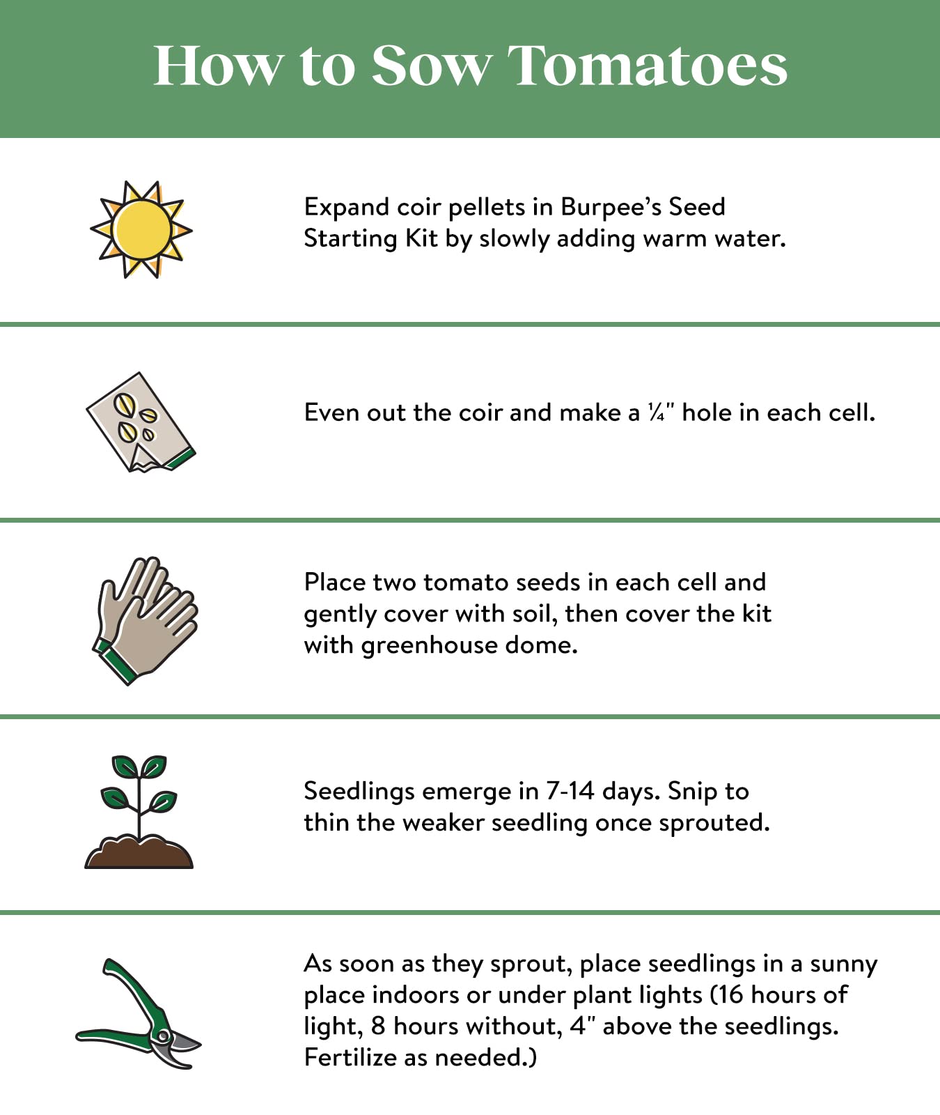 Sun Gold Hybrid Non-GMO Home Garden | Sweet Orange Cherry Tomatoes | Best Vegetable Planting, 30 Seeds