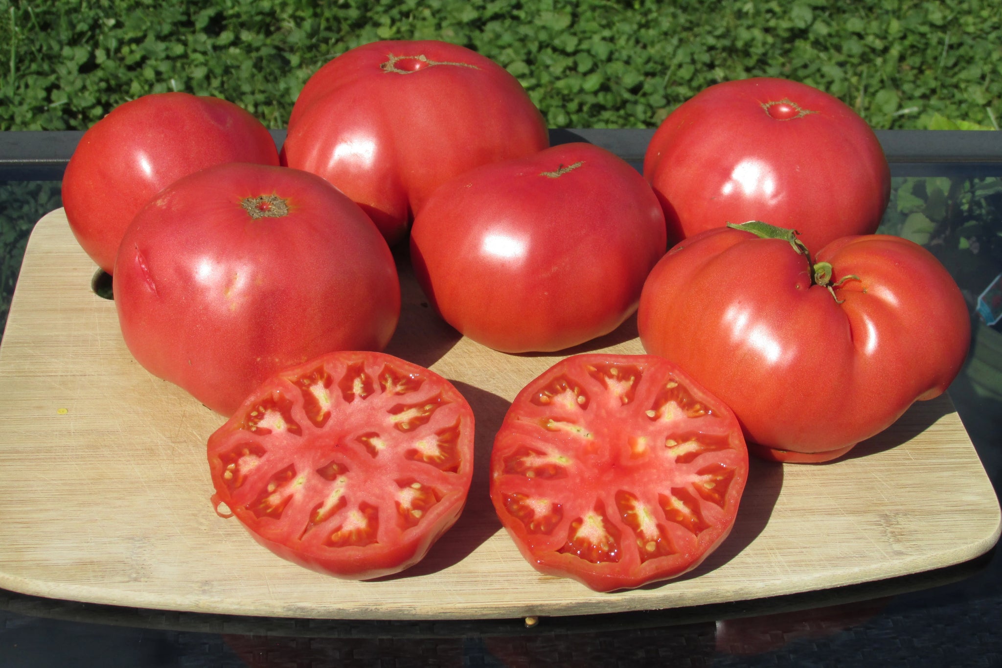 Epstein's Big Zac Organic Tomato - 15+ seeds – Ohio Heirloom Seeds