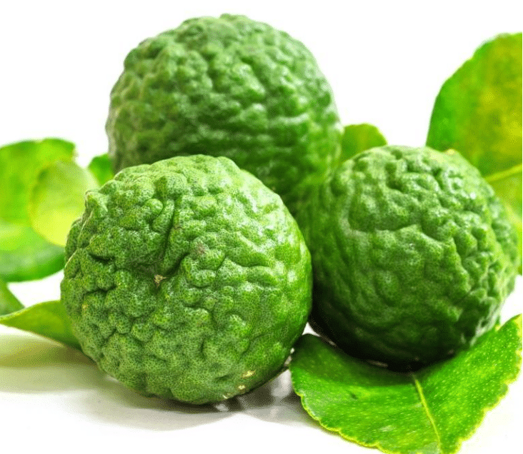 VERY RARE LEMON SEEDS