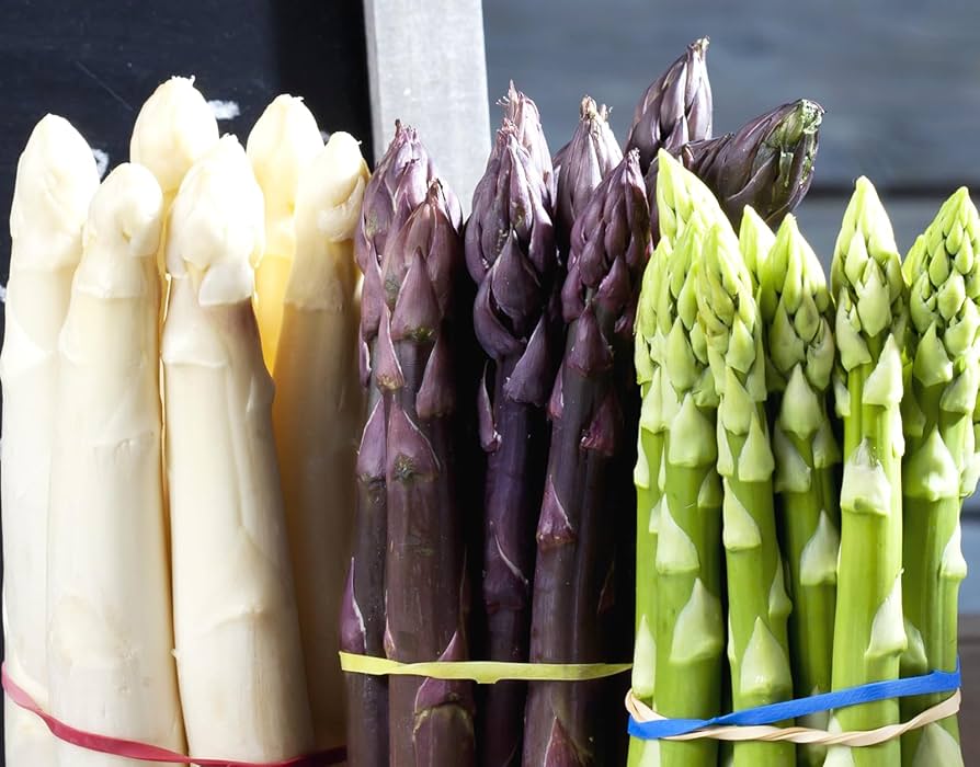 Hokkaido Asparagus, 3 Color Set, A, 31.7 oz (900 g) (S - 2L Size,  Refrigerated), Seasonal, Fresh Vegetables, Asparagus, Green, White, Purple,  ...