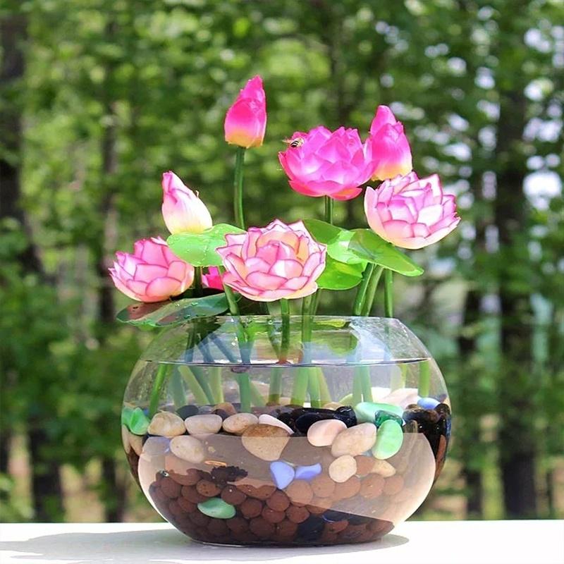 Bonsai White Water Lily Kit White Lotus Flower Seeds, 56% OFF
