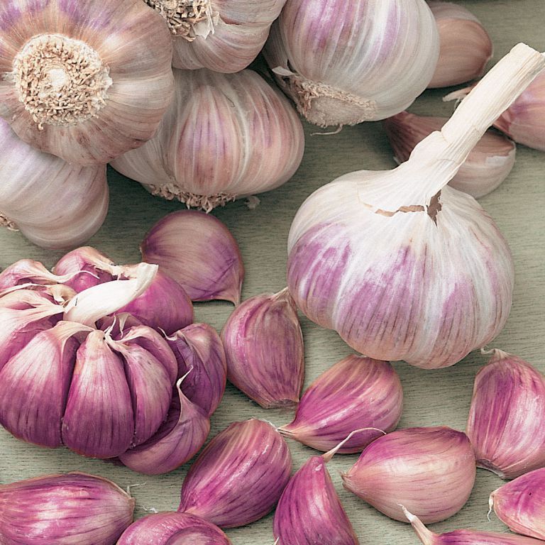 🧄Single Clove Garlic: Bold Flavor, Healthy Choice!