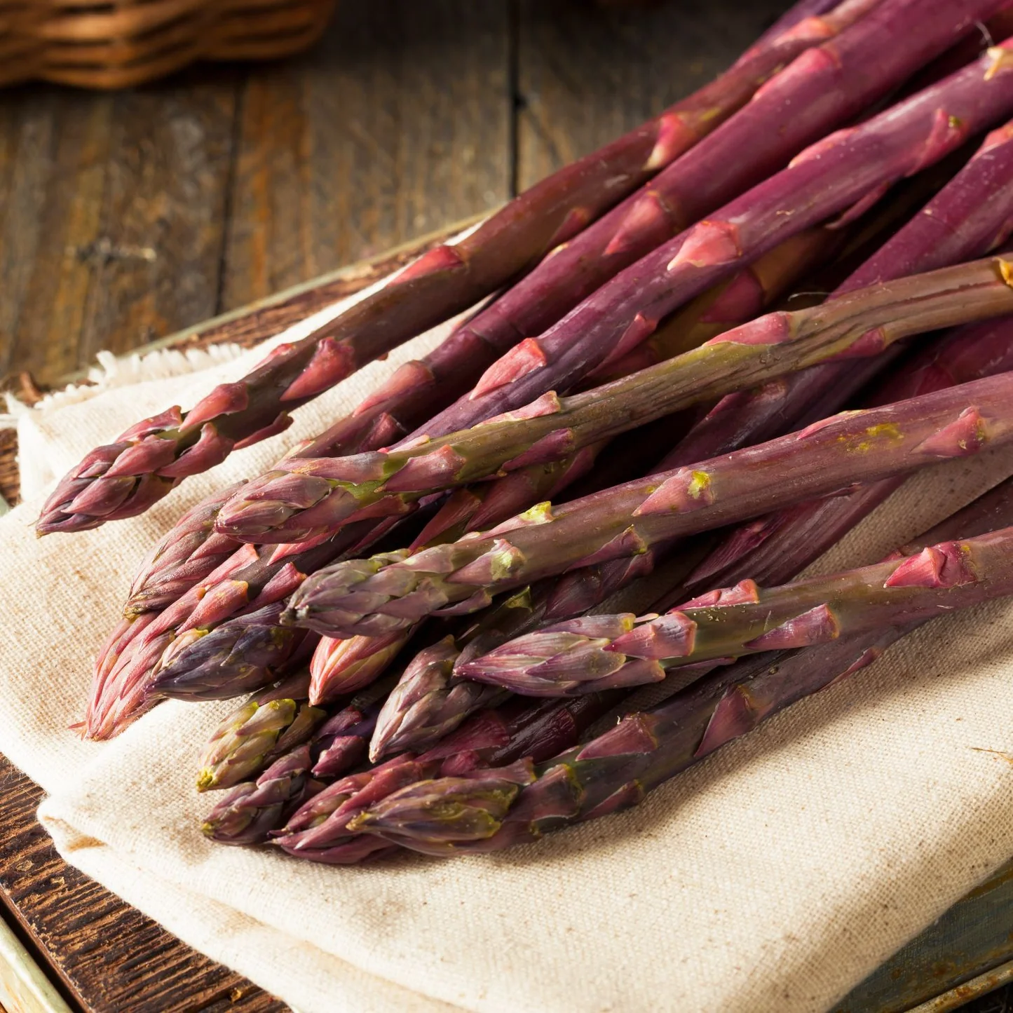 Four Seasons Asparagus Mary Washington Seeds