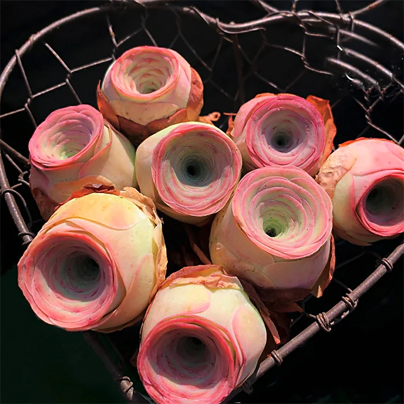 🌹🩷Pink Mountain Rose Succulent Seeds