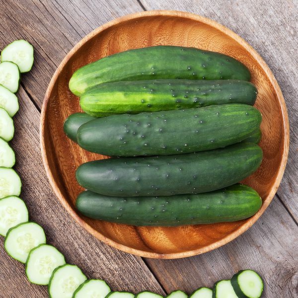 🥇Top Disease-Resistant Variety 🥒 Marketmore 76 Cucumber Seeds