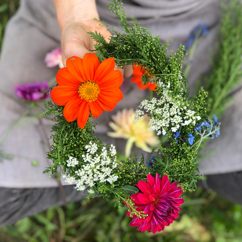 🌿 Sweet Annie Artemisia Seeds – Organic Elegance for Your Garden