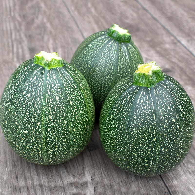 Round Zucchini Seeds – Grow Delicious, Compact, and Versatile Vegetables