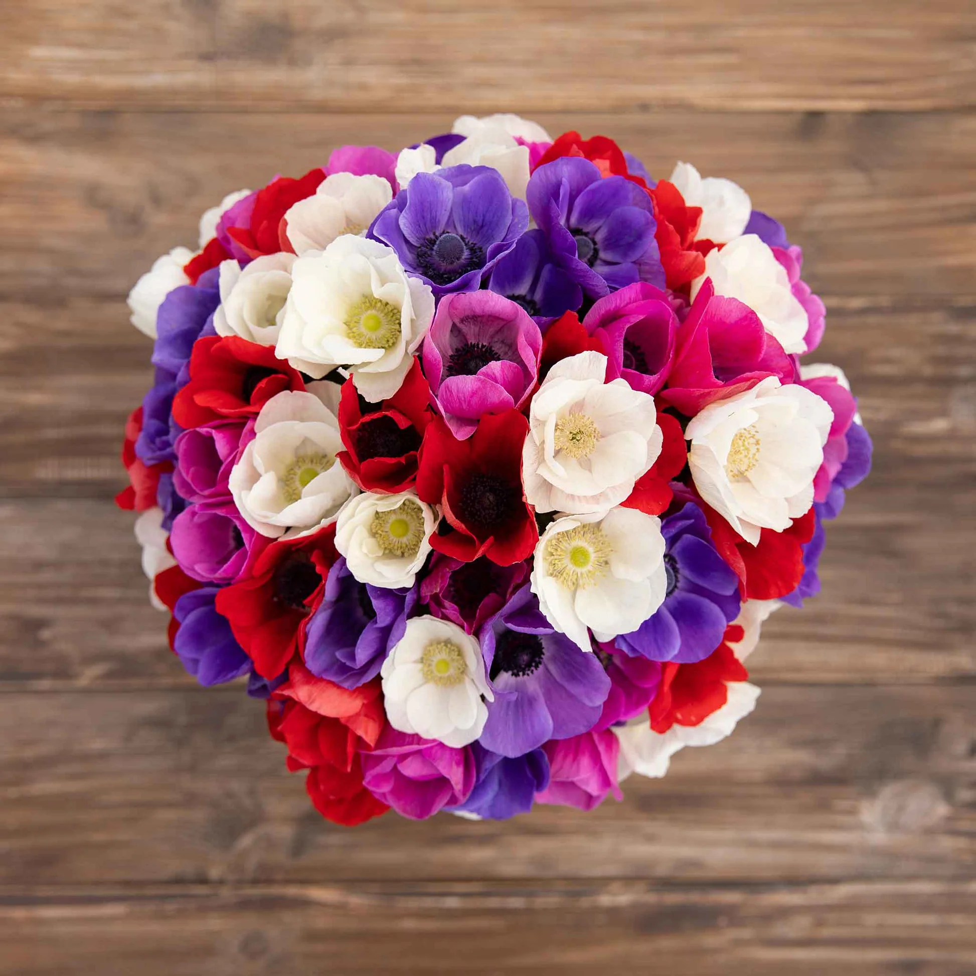 De Caen Mix Anemone Seeds