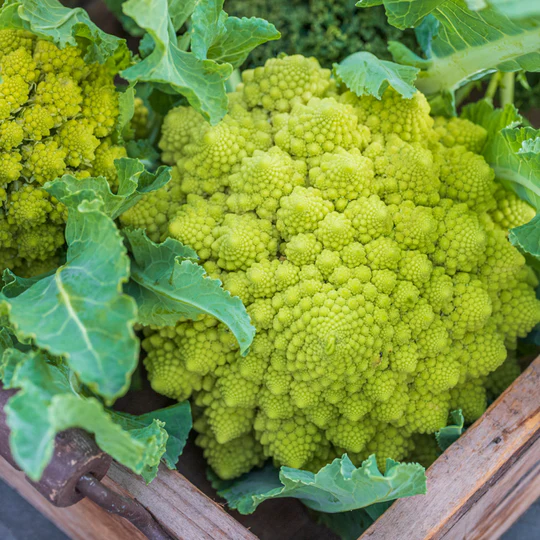 Romanesco Broccoli Seeds