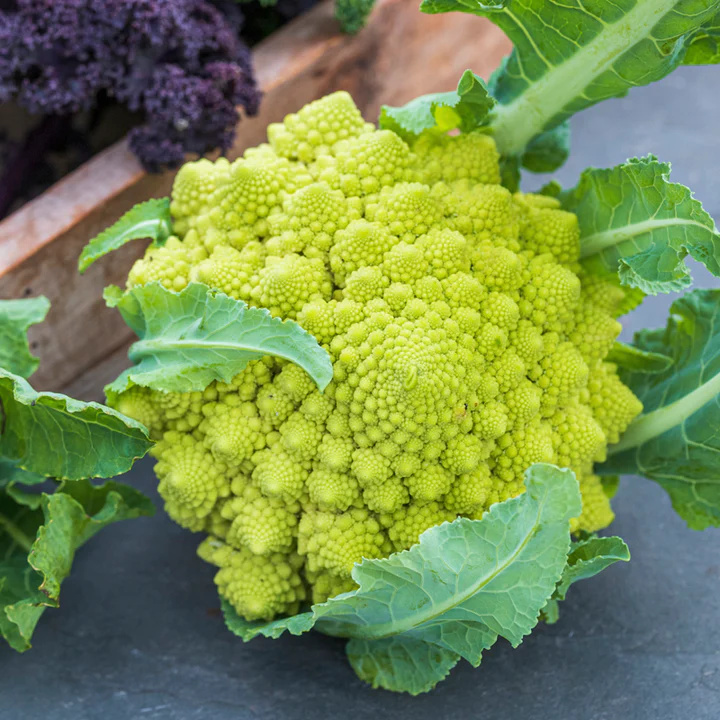 Romanesco Broccoli Seeds